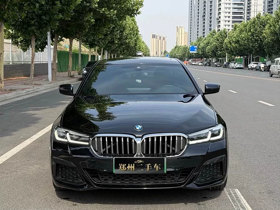 BMW 5 Series New Energy