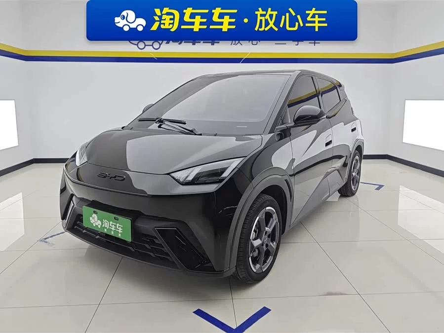 BYD Seagull
