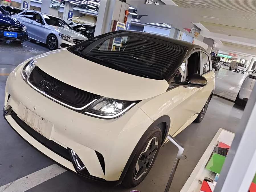 BYD Dolphin