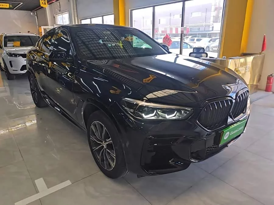 BMW X6