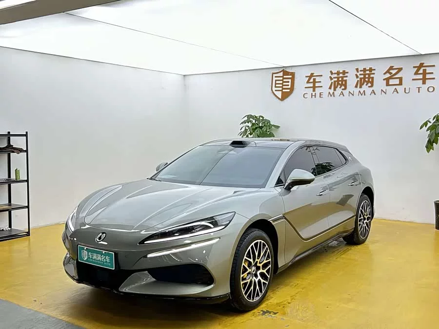 BYD Z9GT
