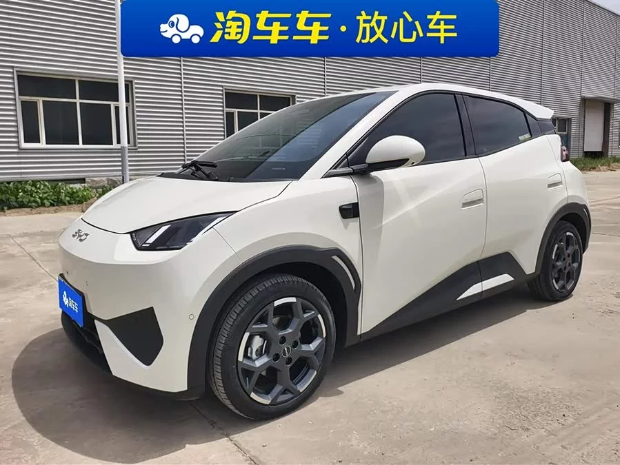 BYD Seagull