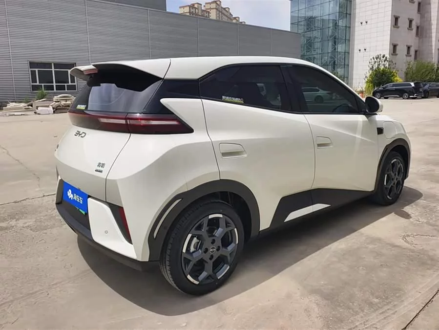 BYD Seagull