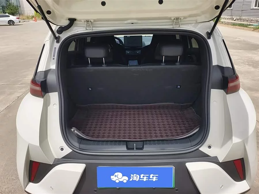 BYD Seagull