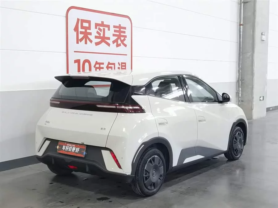 BYD Seagull