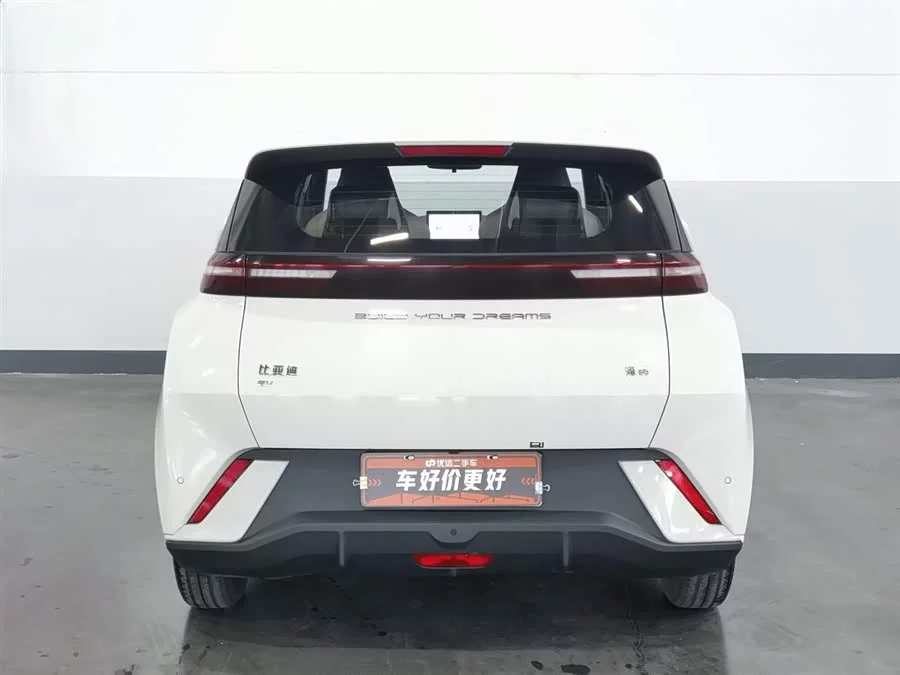 BYD Seagull