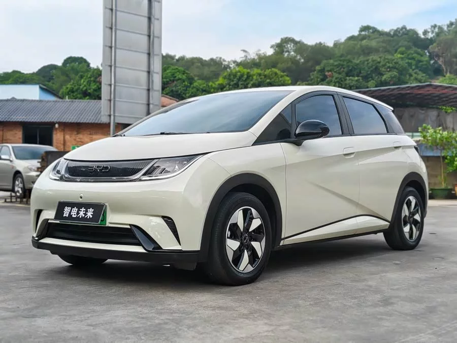 BYD Dolphin