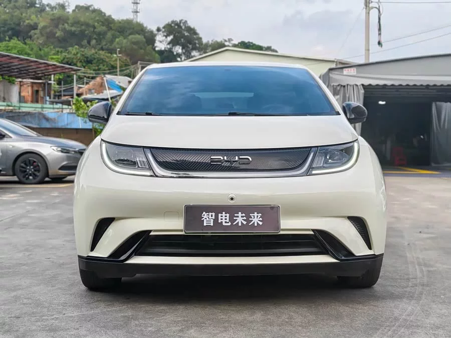 BYD Dolphin