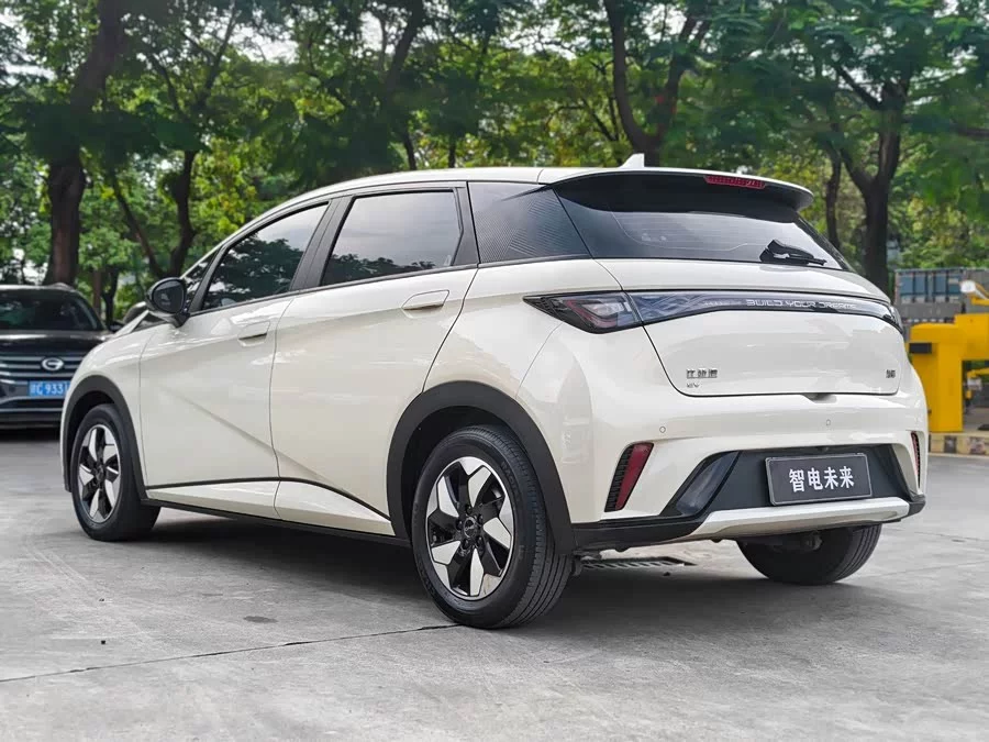 BYD Dolphin