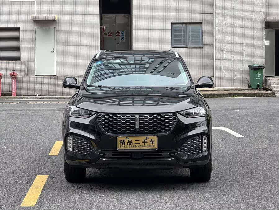Wey VV6