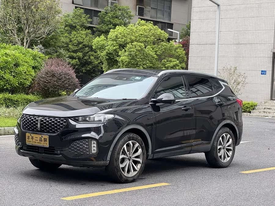 Wey VV6