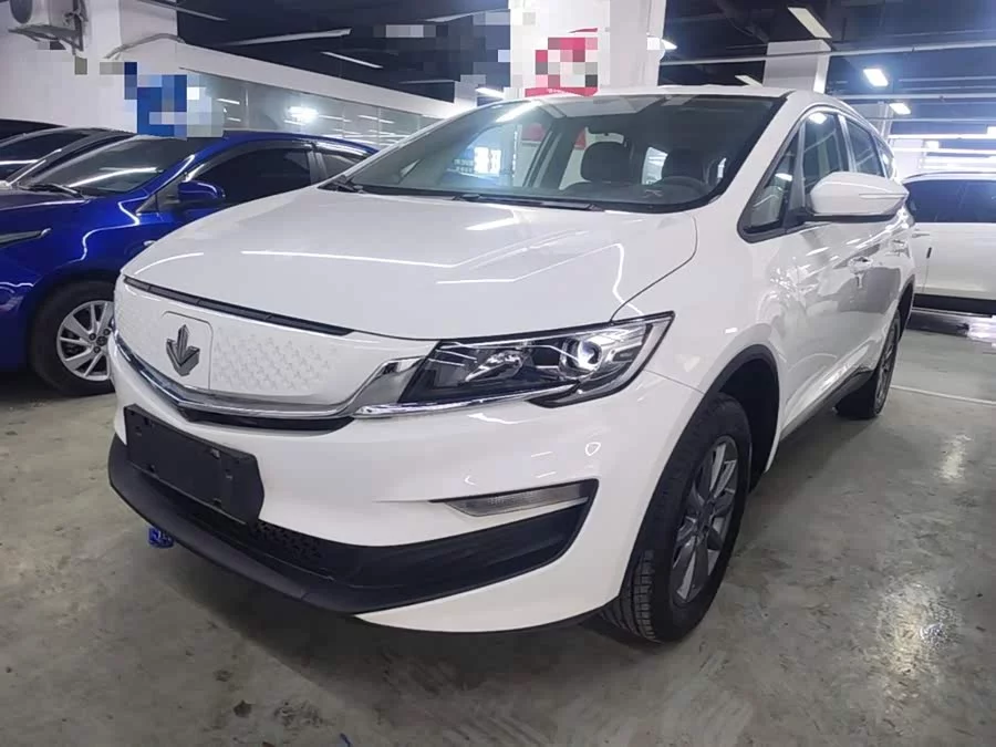 Ruilan Car Maple Leaf 80v