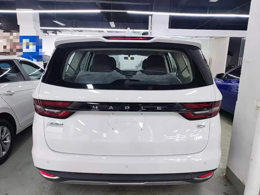 Ruilan Car Maple Leaf 80v