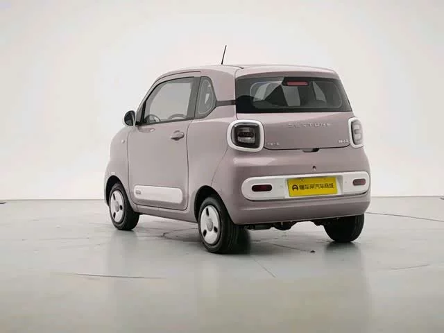 Pentium pony