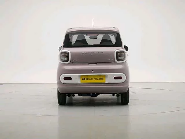 Pentium pony