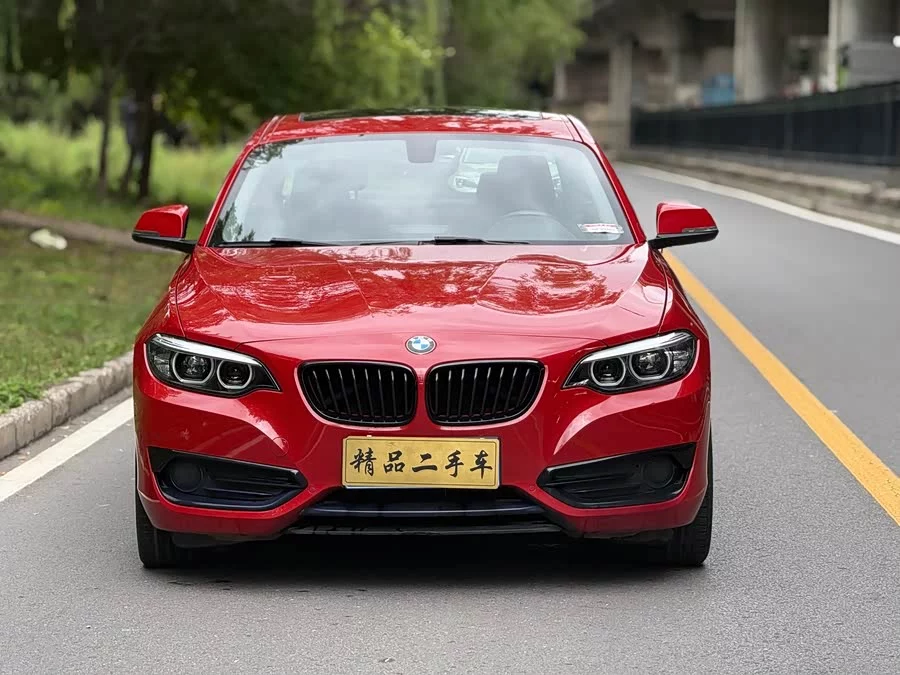 BMW 2 Series