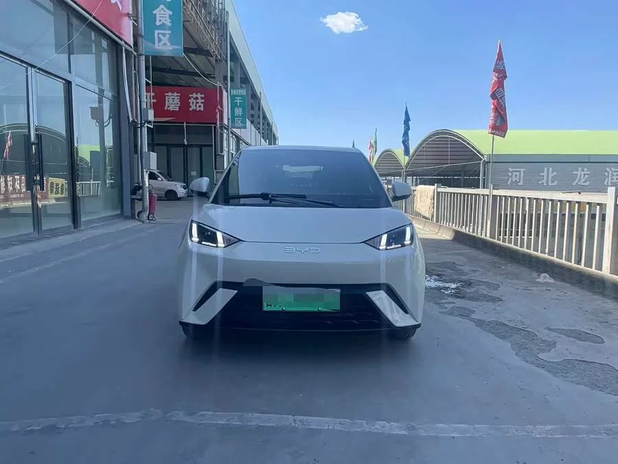 BYD Seagull