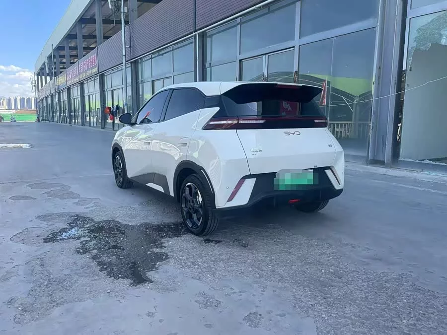 BYD Seagull