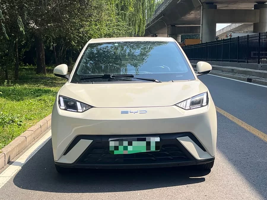 BYD Seagull