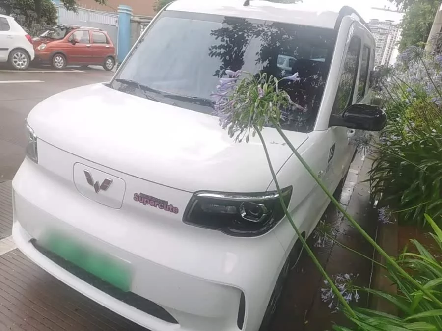 Wuling Zhiguang New Energy