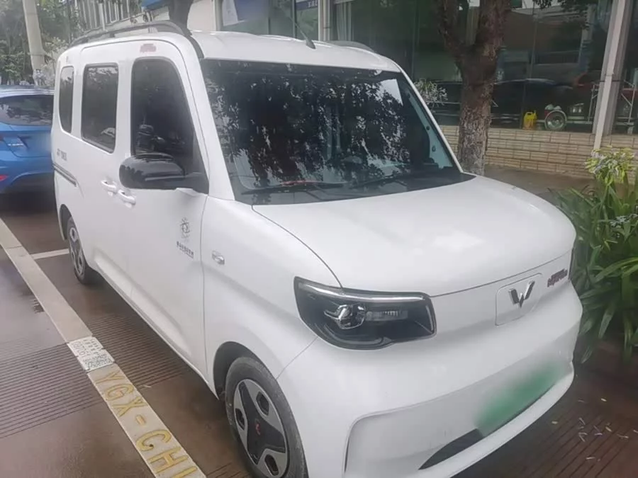 Wuling Zhiguang New Energy