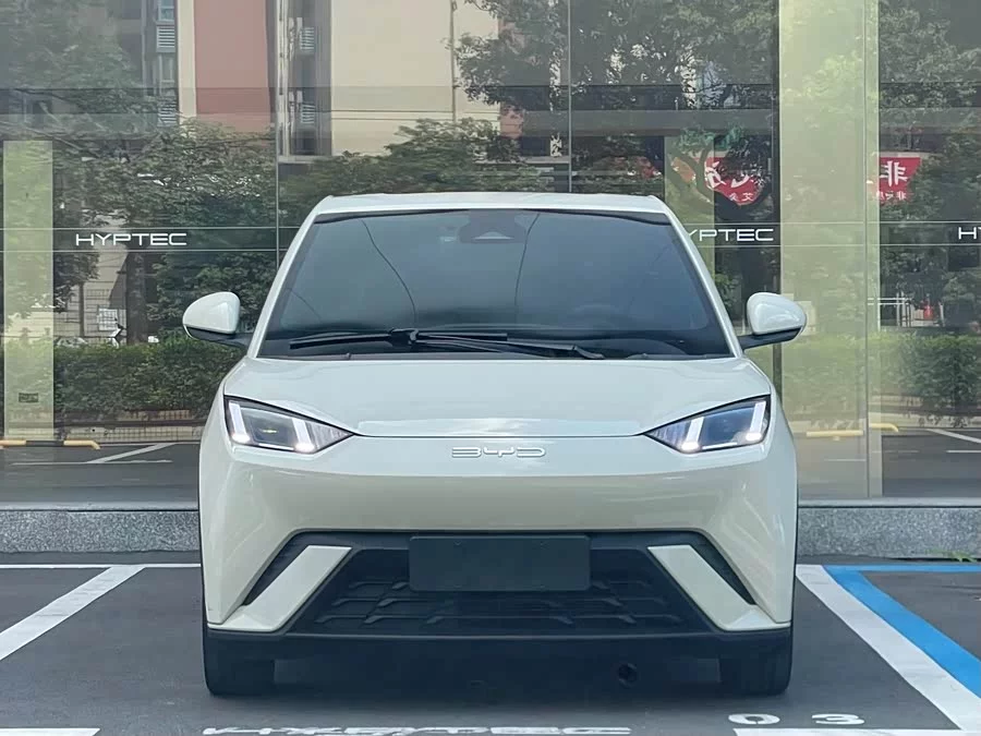 BYD Seagull