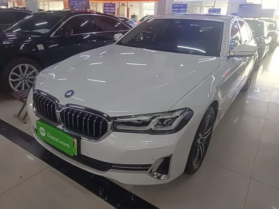 BMW 5 Series New Energy