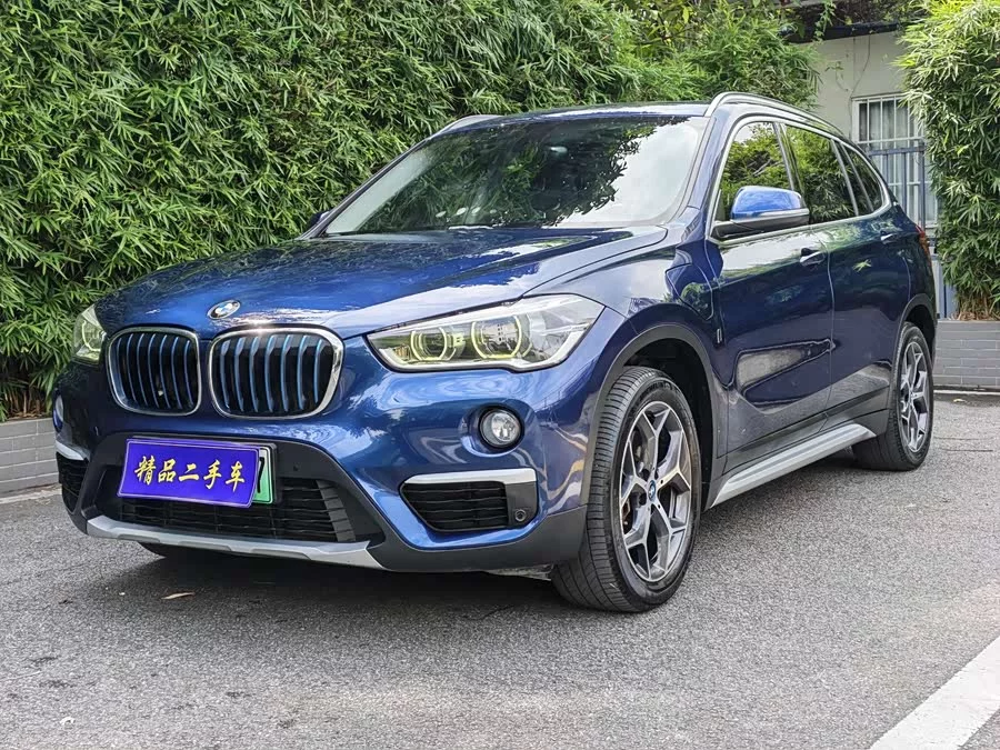 BMW X1 New Energy