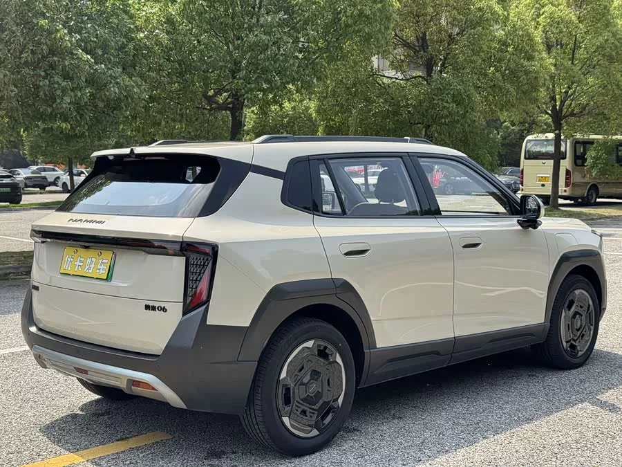 Dongfeng Nano 06