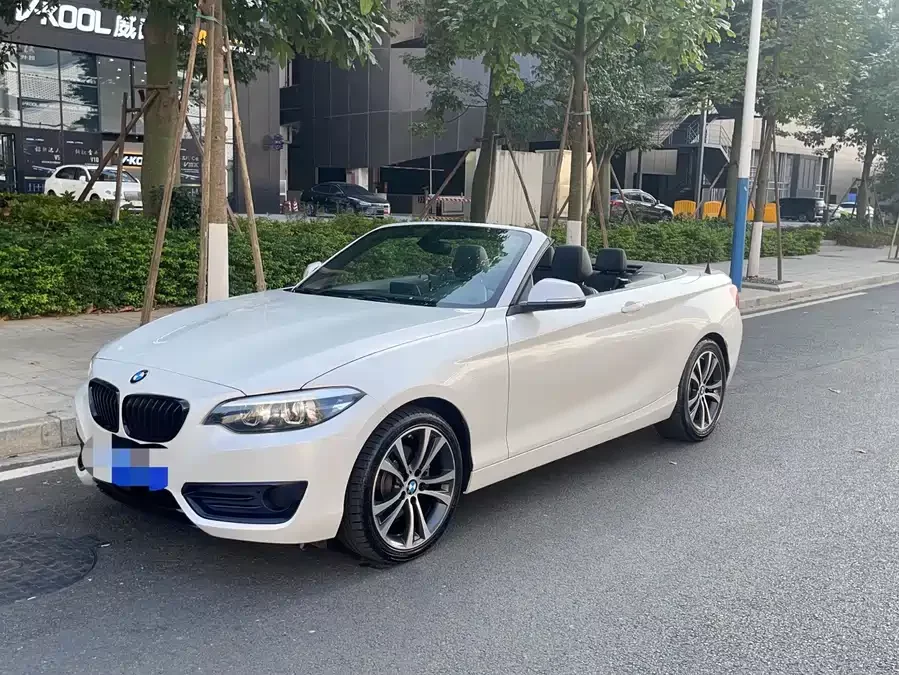 BMW 2 Series
