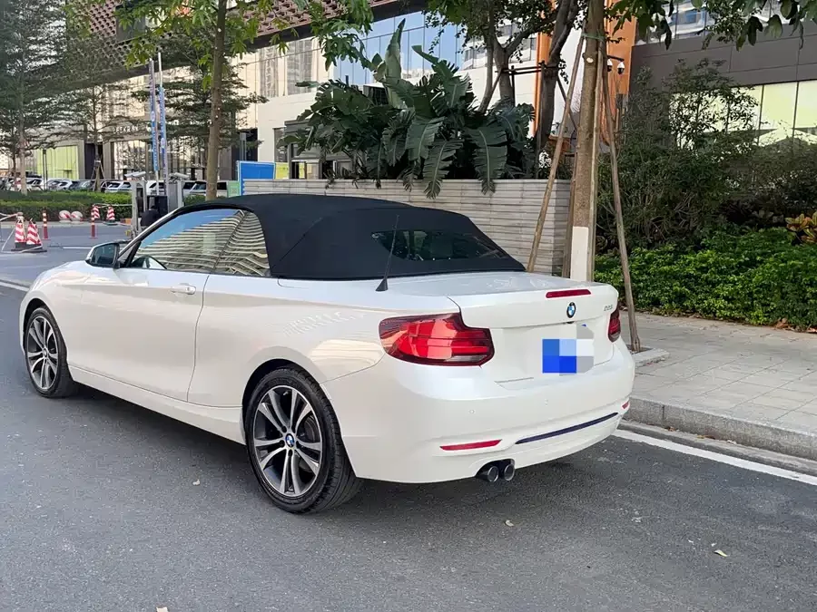 BMW 2 Series