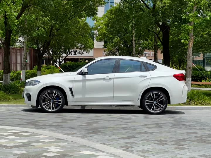 BMW X6 M