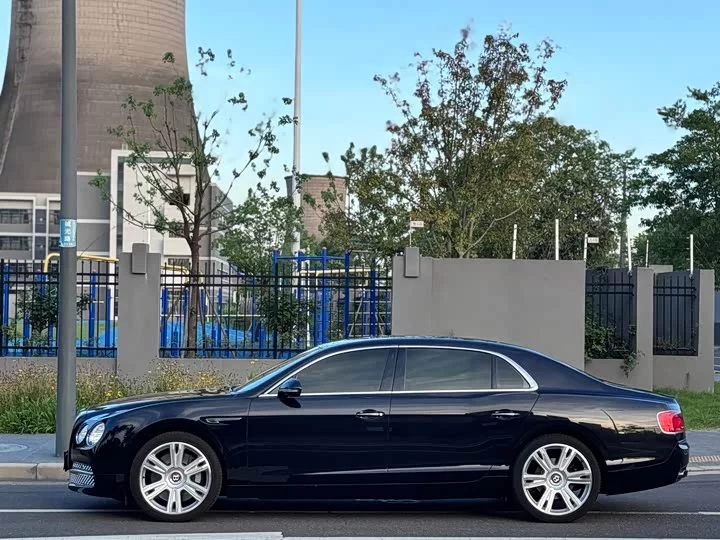 Bentley galloping
