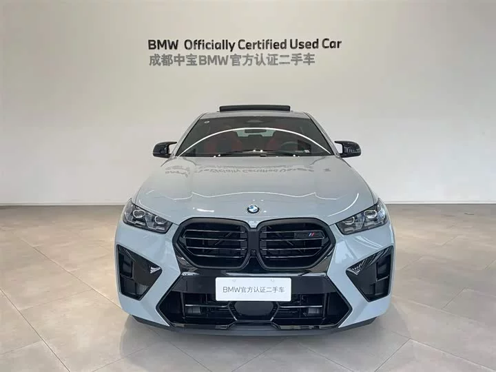 BMW X6 M