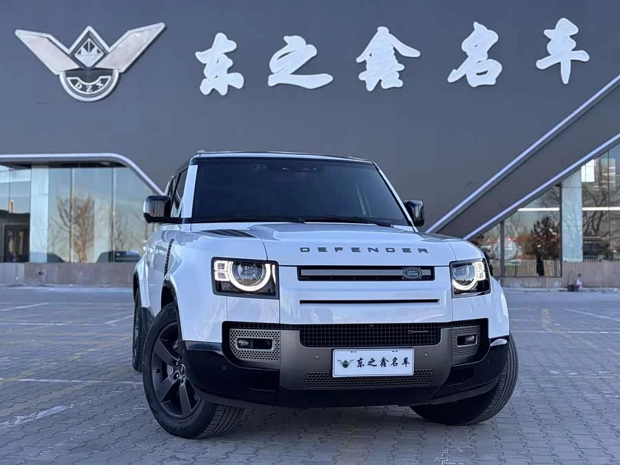 Land Rover guard