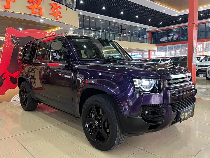 Land Rover guard