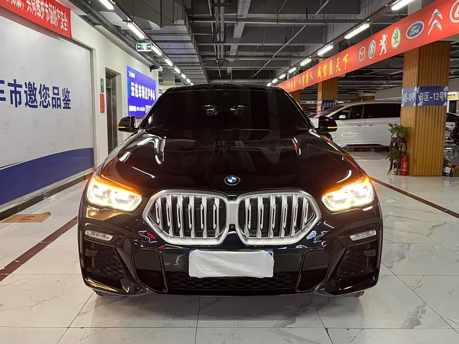 BMW X6