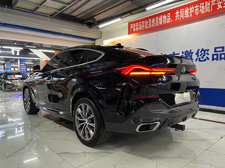BMW X6