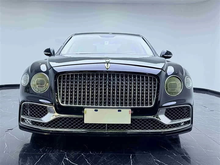 Bentley galloping