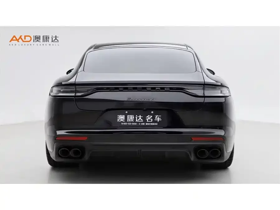 Porsche Panamera New Energy