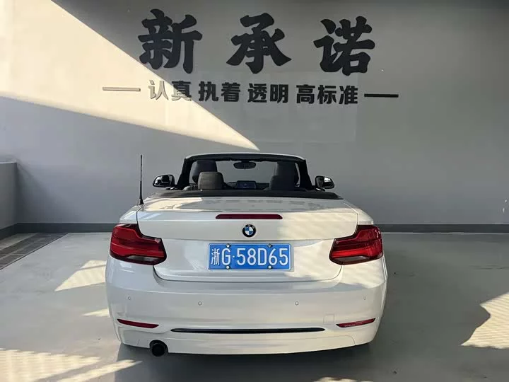 BMW 2 Series