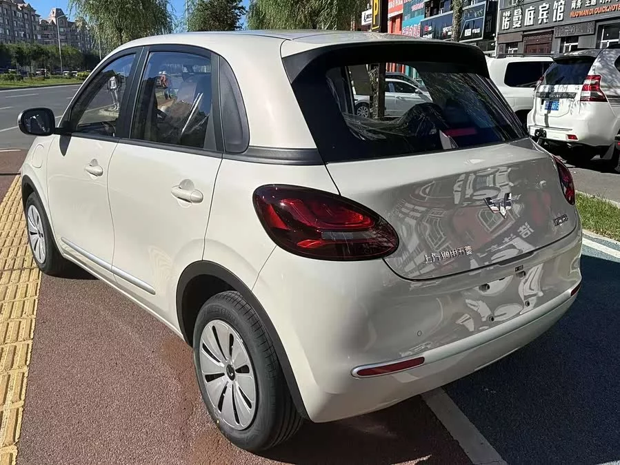 Wuling Bingo