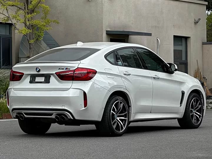 BMW X6 M