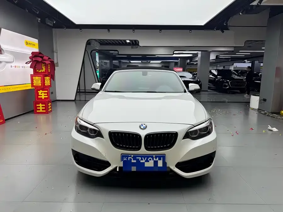 BMW 2 Series