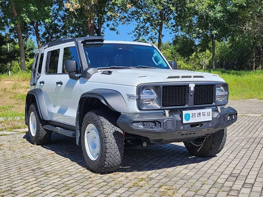 TANK 300