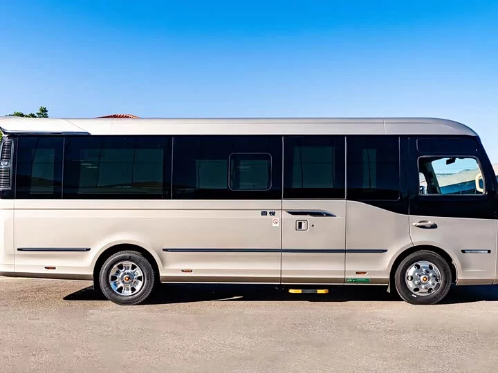 Hongqi Golden Sunflower Guoyue