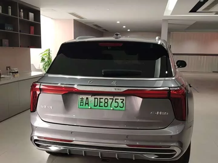 Hongqi E-HS9