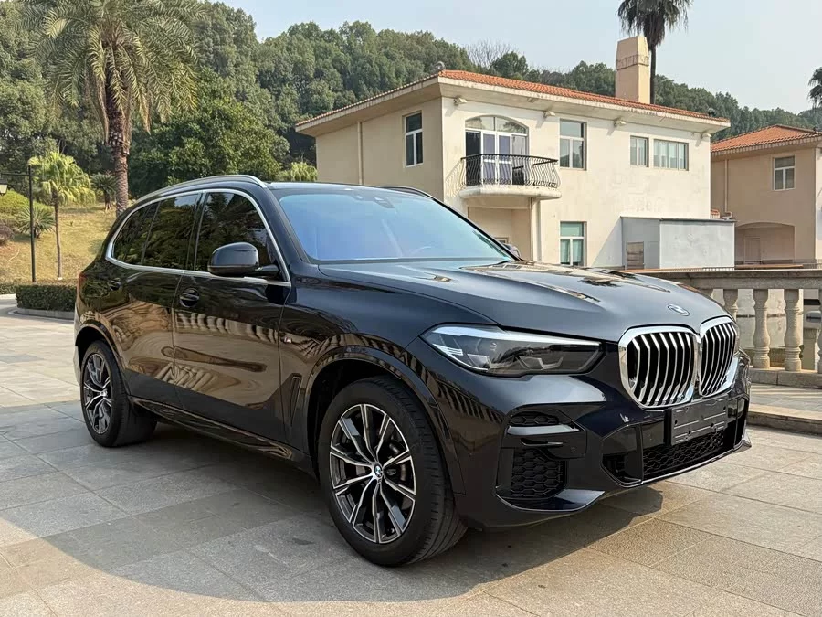 BMW X5