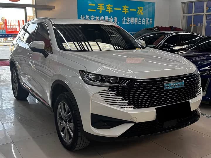 Haval H6 new energy