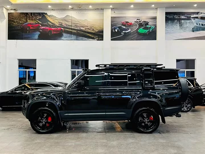 Land Rover guard